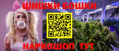 прущие грибы Чебоксары