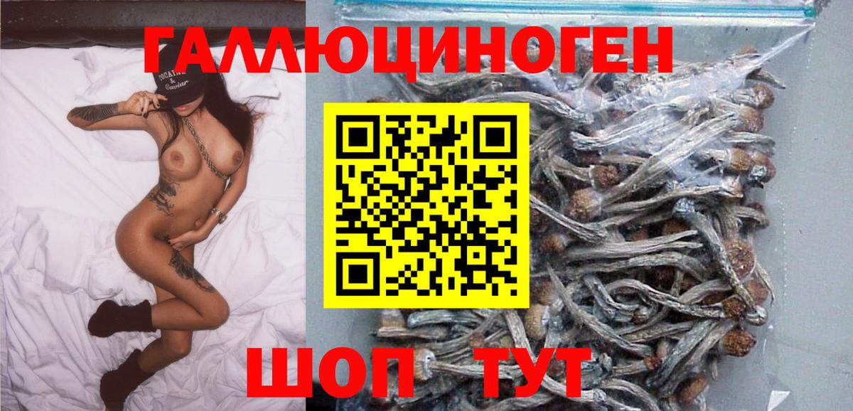 Галлюциногенные грибы Cubensis Людиново