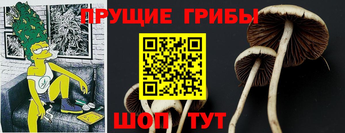 Людиново  Галлюциногенные грибы ЛСД  Вход с VPN 